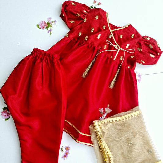 Indian Pakistani Dress | Red Chiffon Frock and Trouser | Shalwar Kameez | Girls Embroidered Suit Kids Ethnic Wear Perfect for Diwali & Eid